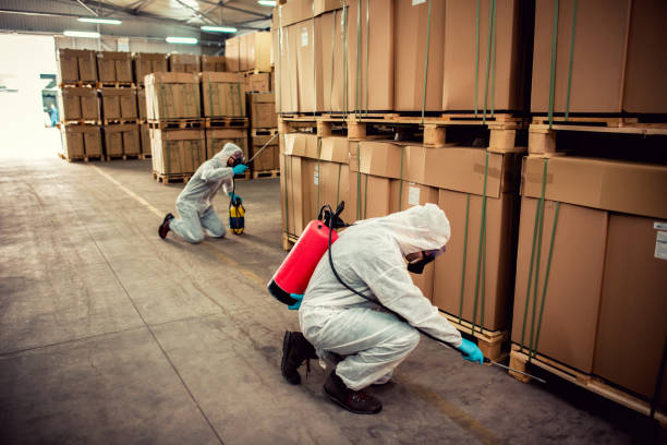 Best Wasp Removal Services  in Stanfield, NC