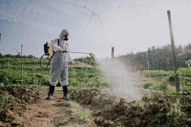 Best Pest Prevention Services  in Stanfield, NC
