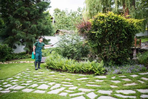 Best Pest Removal Services  in Stanfield, NC