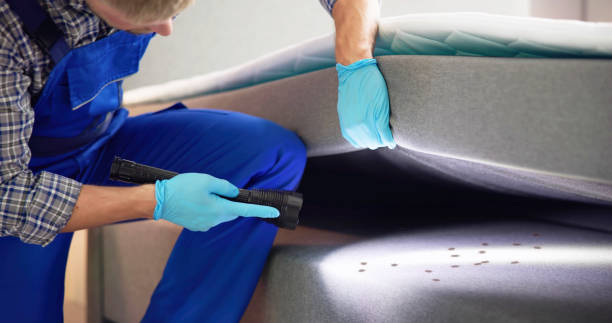Best Residential Pest Control  in Stanfield, NC