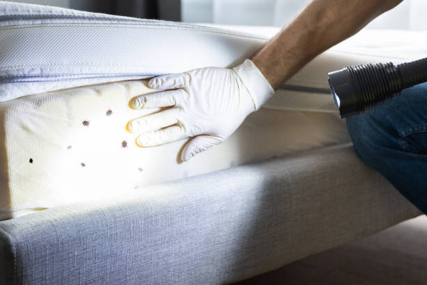 Reliable Stanfield, NC Pest Control Solutions