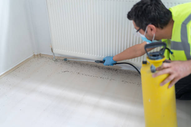 Best Affordable Pest Control Services  in Stanfield, NC