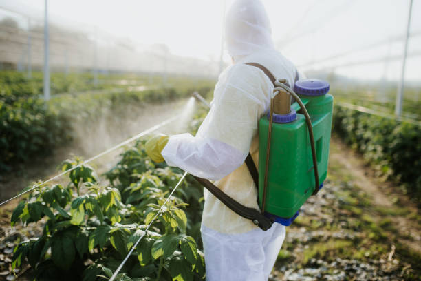 Insect Control in Stanfield, NC